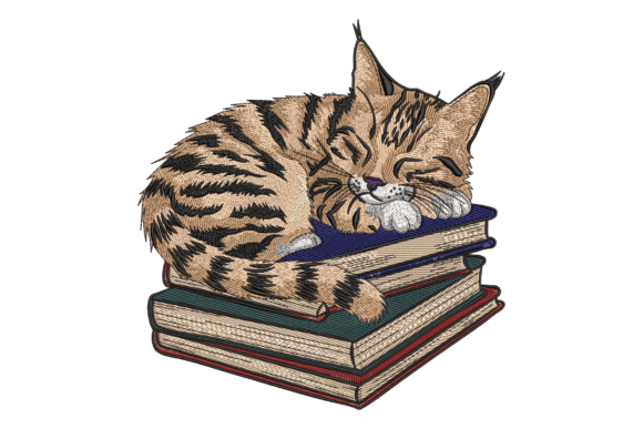 Cozy Cat on Books: A Seller's Review for Etsy & Small Shops