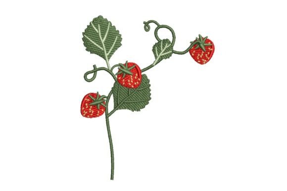 Strawberry Vine: A Designer's Review for Personalized Gifts